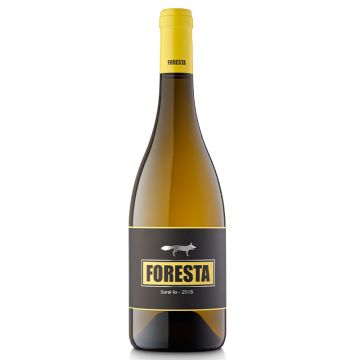 Foresta Xarel·lo 2021