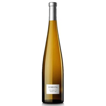 Parés Baltà Ginesta 2023