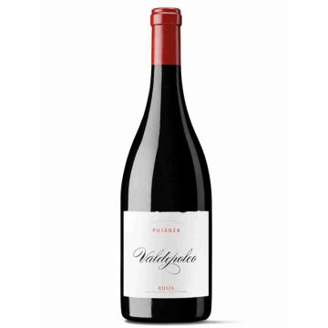 Pujanza Valdepoleo 2017