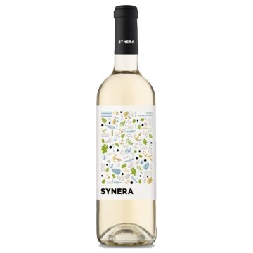 Synera Blanc 2024